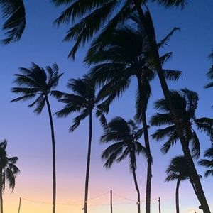 Meet your Posher, LiveTwice